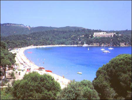 KOUKOUNARIES BEACH - Koukounaries is the most famous beach of Skiathos and reputed to be the best in the Aegean if not the whole Mediterranean. It has fine golden sand leading up to the shade of the Koukounaries pine trees (umbrella pines).